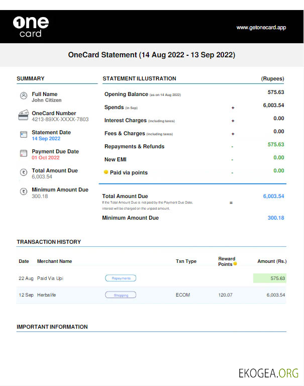 Modèle Word et PDF de déclaration de carte USA 1One avec